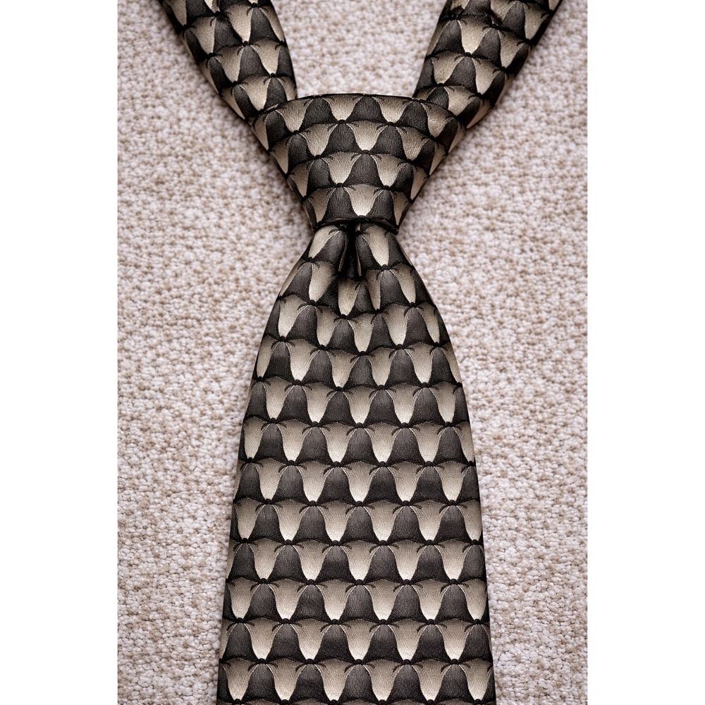 The Nature‎ Conservancy Silk Mens Golden Silk Spider Preservation Collection Tie